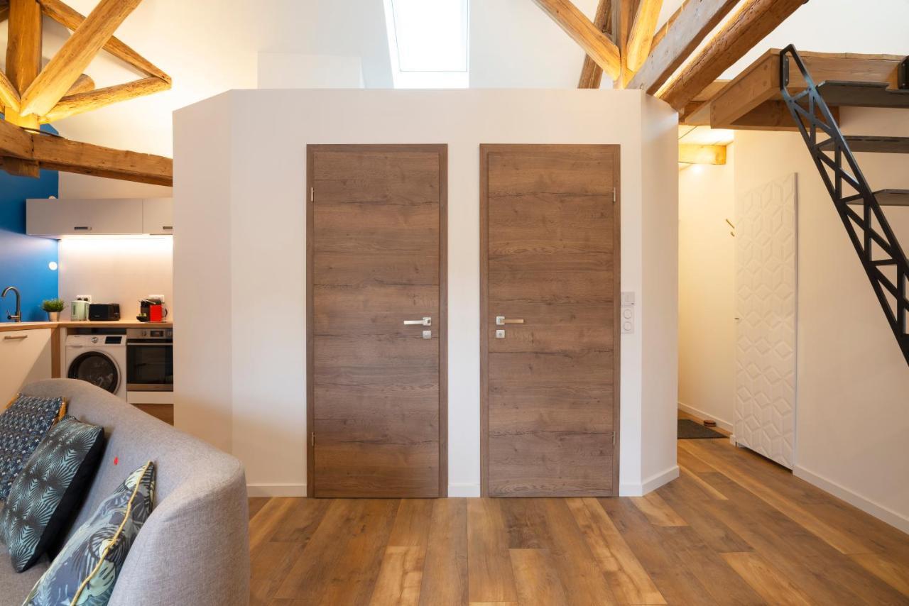 Le Favori De Montesquieu Apartment Нанси Екстериор снимка