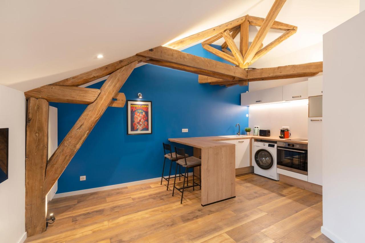 Le Favori De Montesquieu Apartment Нанси Екстериор снимка